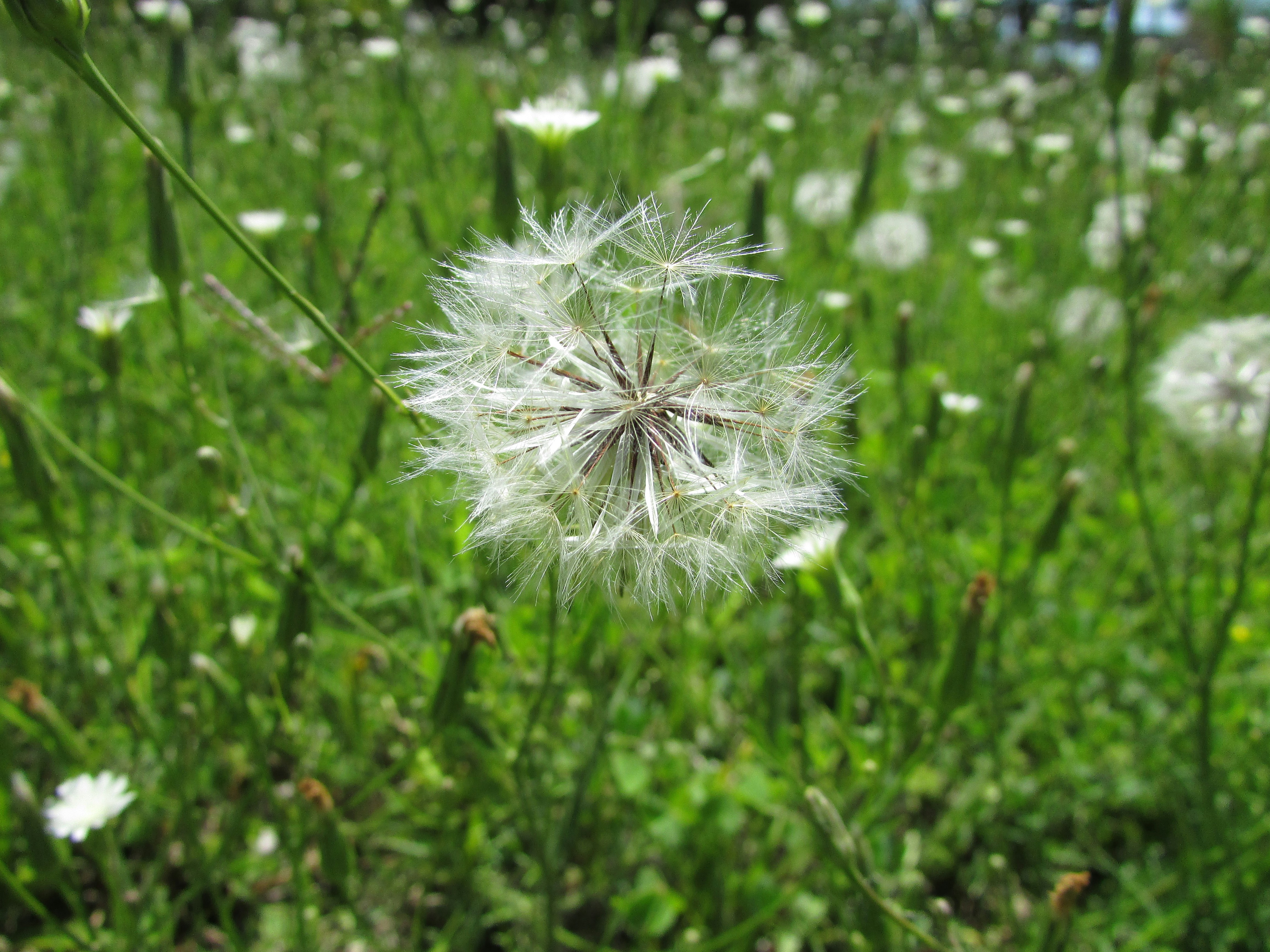 Free Unsplash photo from Ramiro Martinez