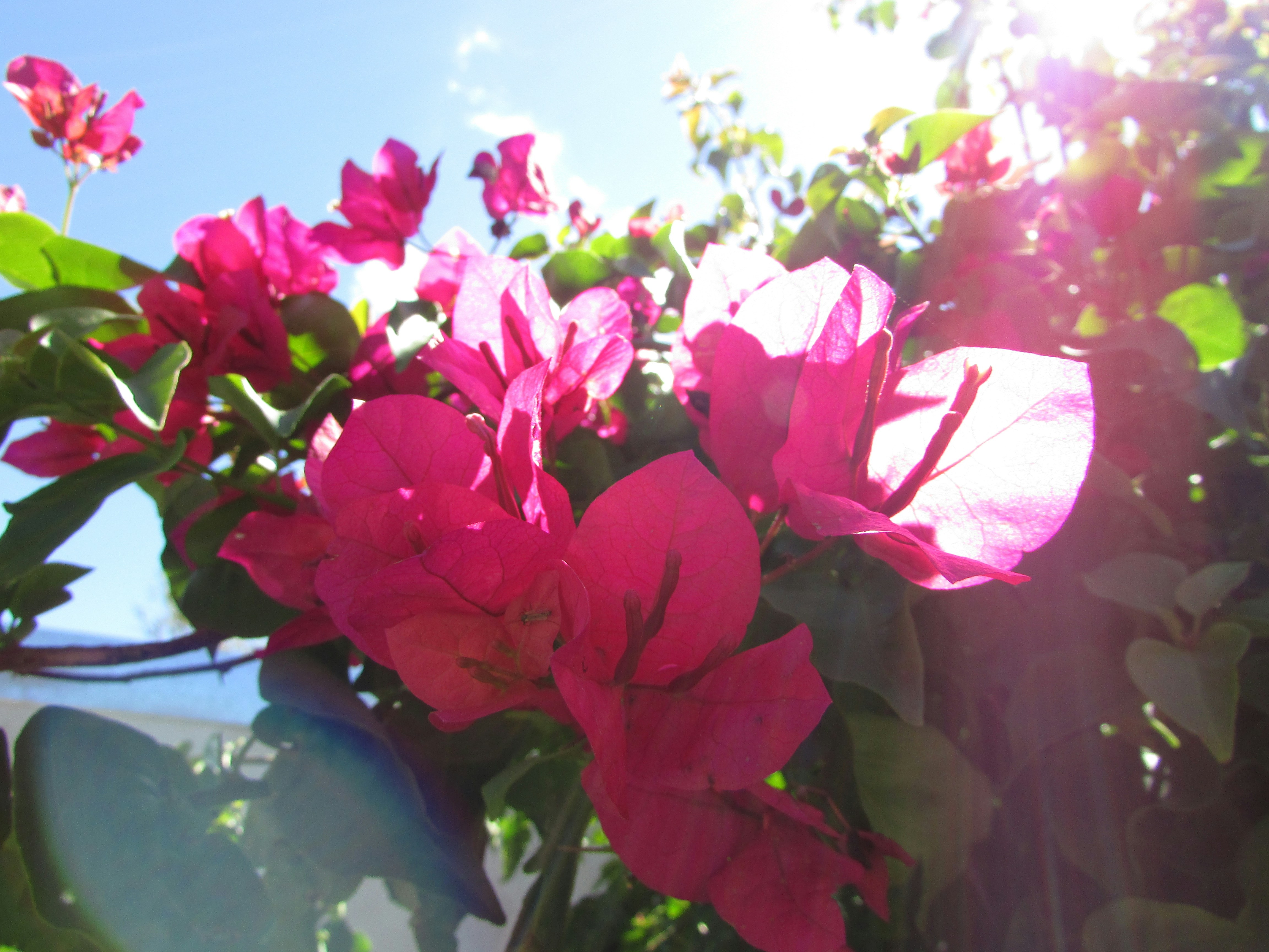 Free Unsplash photo from Ramiro Martinez