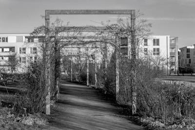 Historical black-and-white photo of the roseraie contrasting with the encroaching modern development nearby.