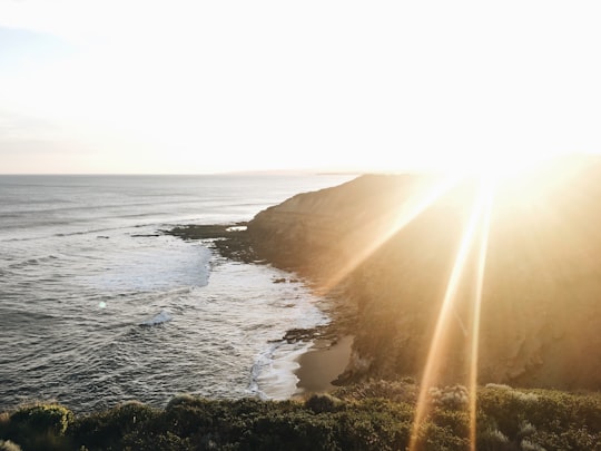 aerial photo of cliff during daytime in Bells Beach Australia