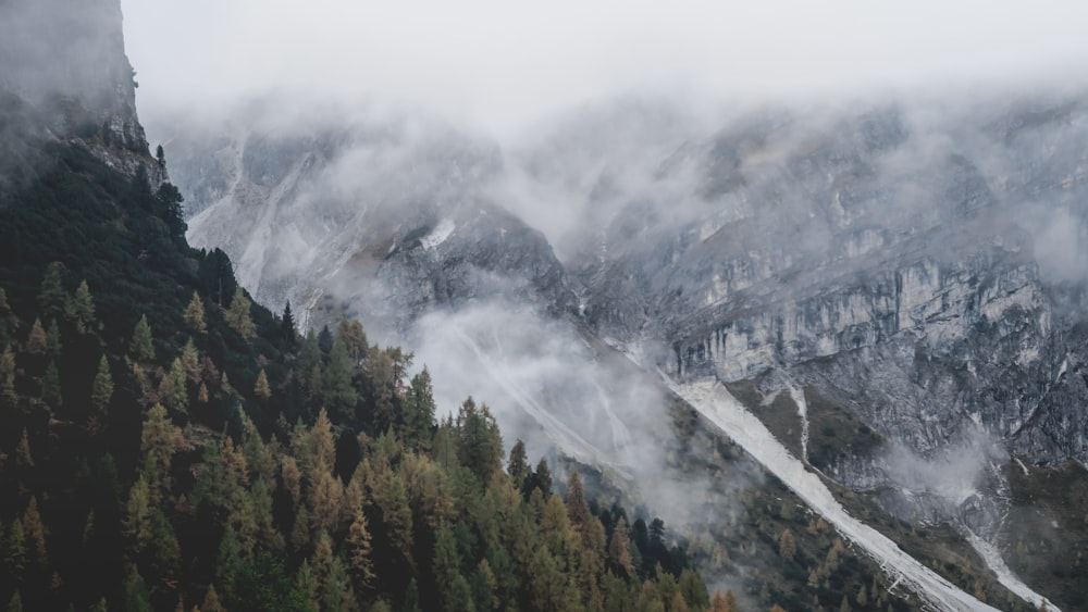 bird's eye photography of mountain alps and forest with fog