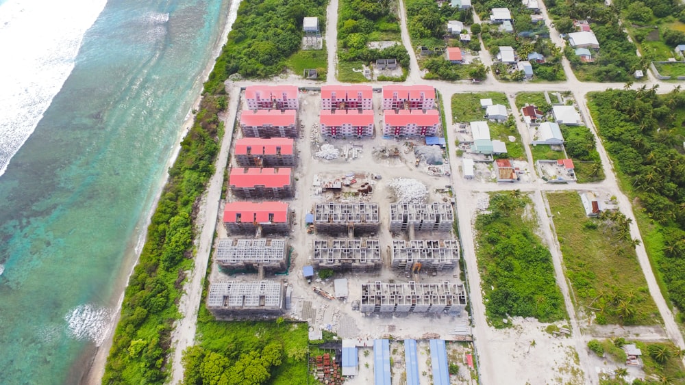 Casas cerca de árboles de hojas verdes durante el día