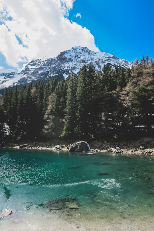 green pine trees near body of water during daytime in Obernberger See Austria