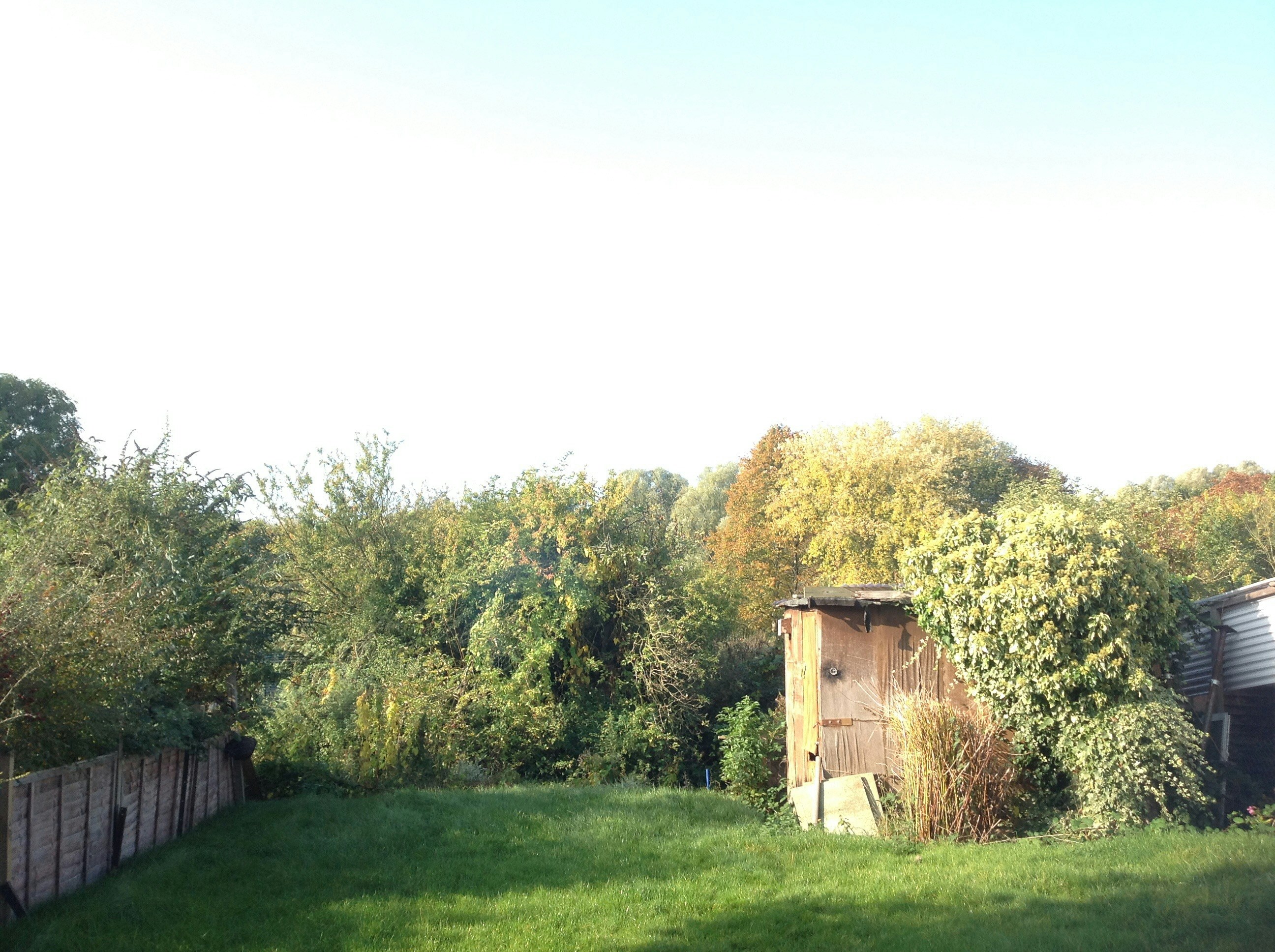 Free Unsplash photo from JAKE GUTTERIDGE