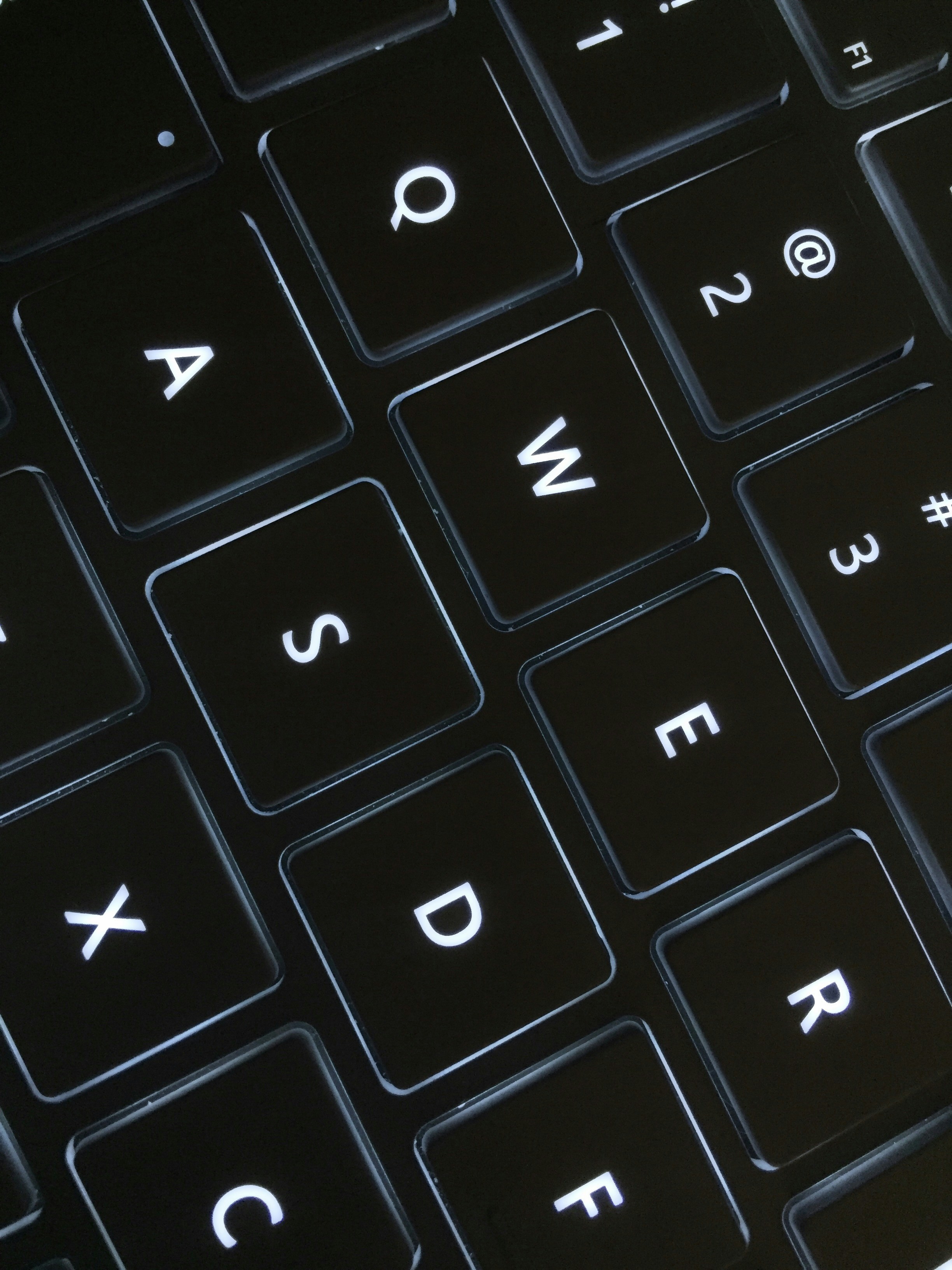 Free Unsplash photo from Weidi Zhang