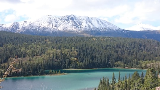 top view of alps mountain in Emerald Lake Canada