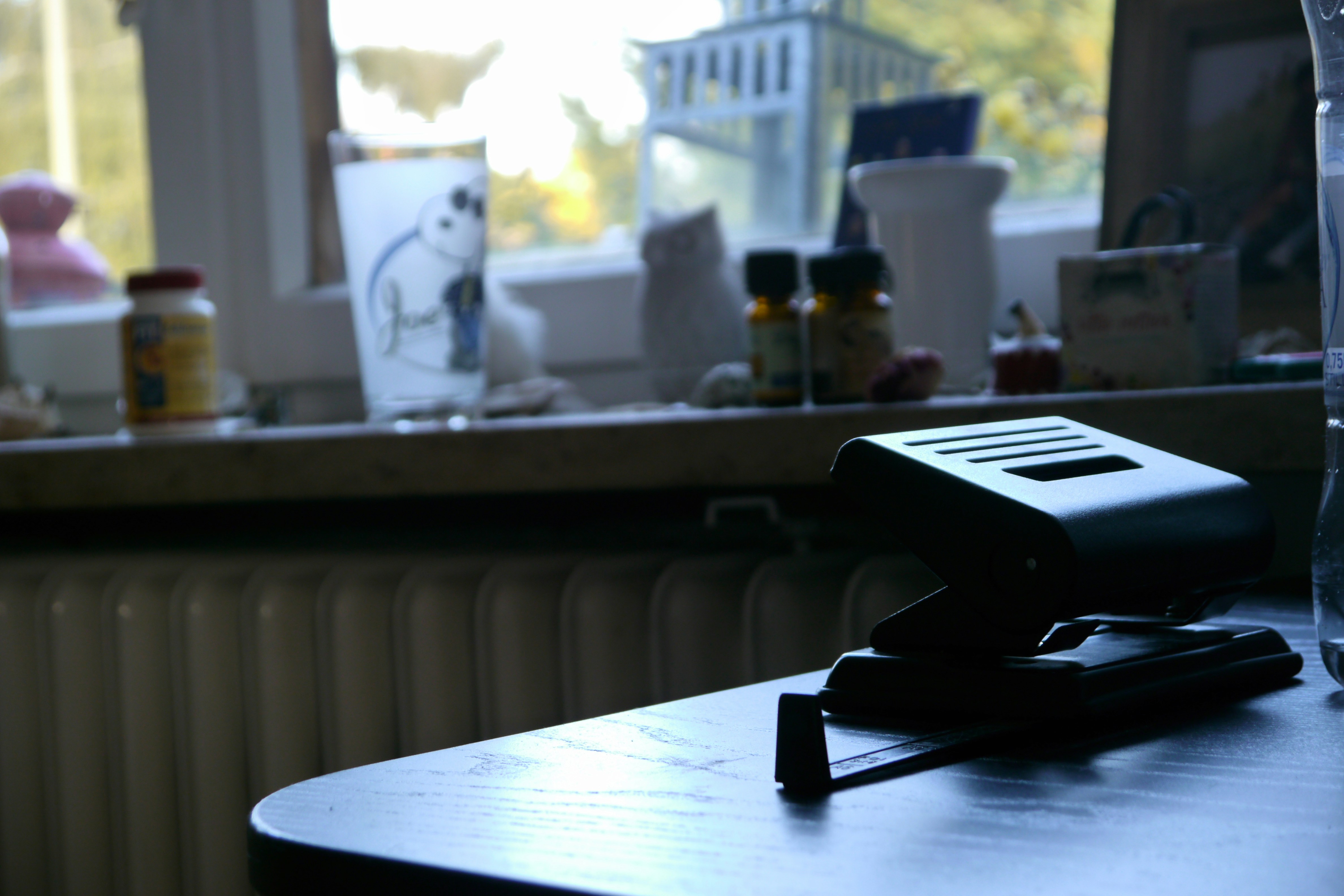 Free Unsplash photo from boal