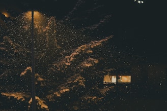 A cozy winter scene with falling snowflakes and warm lights.