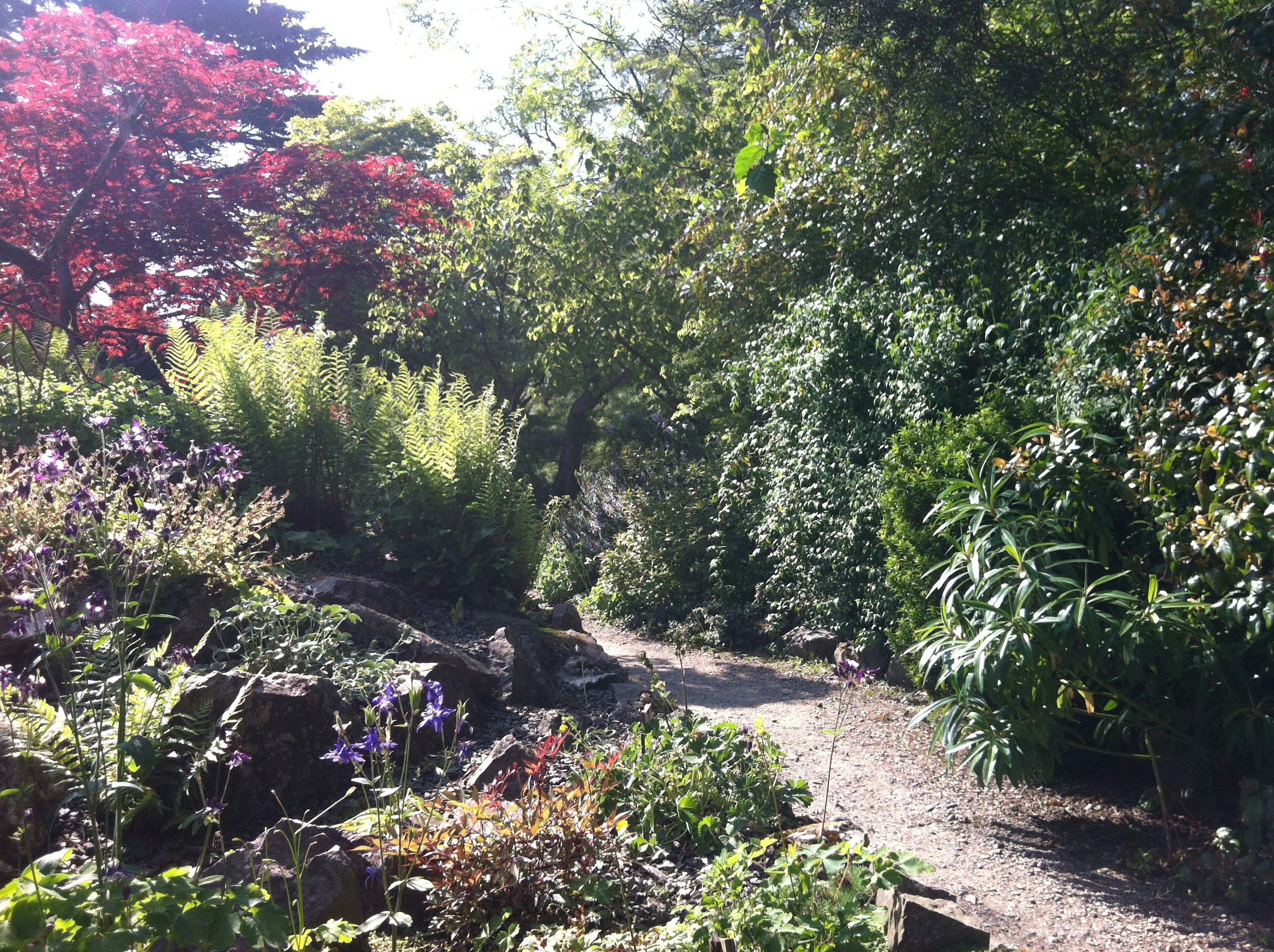 Free Unsplash photo from Marat Burdeynyy