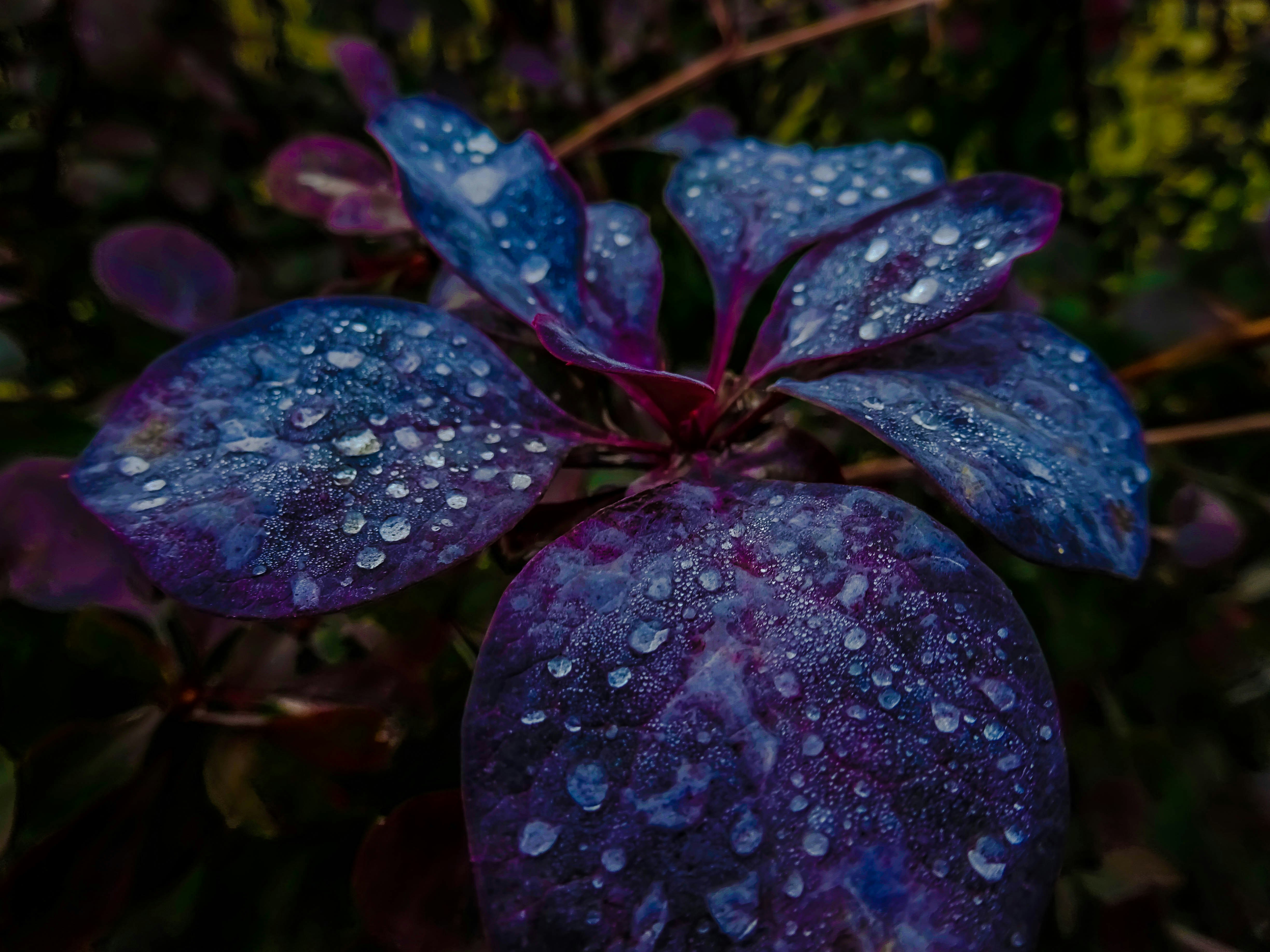 Free Unsplash photo from Erikas Kabak