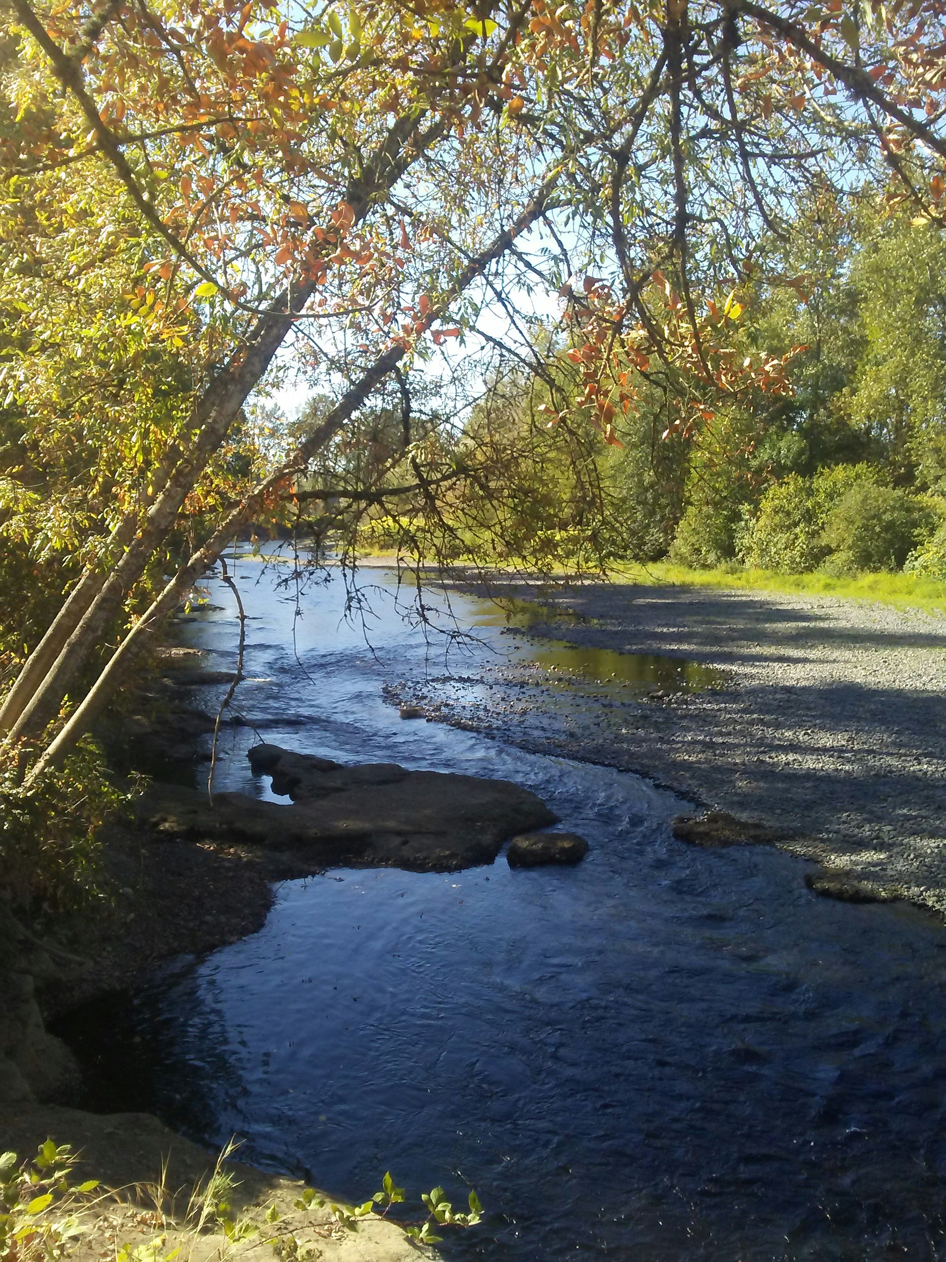 Free Unsplash photo from The Wind