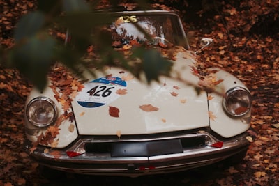 white vehicle covered in brown leaf lot