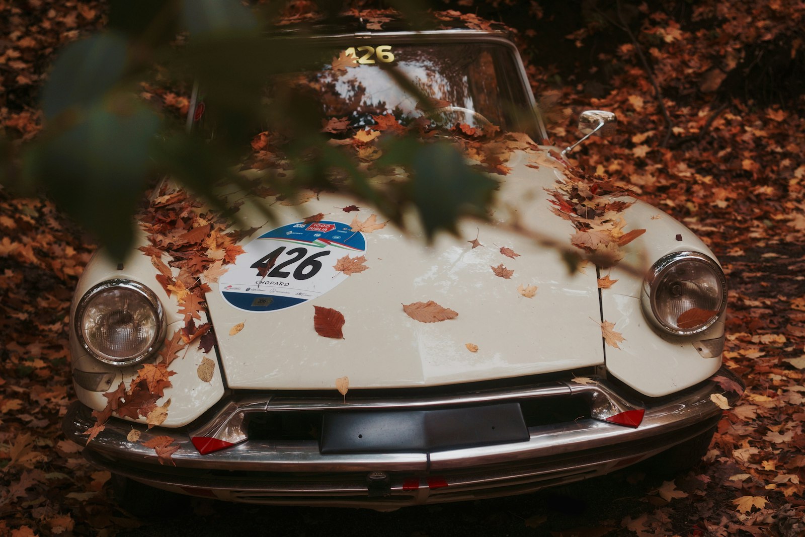 Sony Alpha NEX-7 sample photo. White vehicle covered in photography