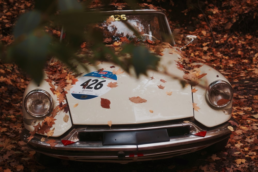 Véhicule blanc recouvert d’un lot de feuilles brunes