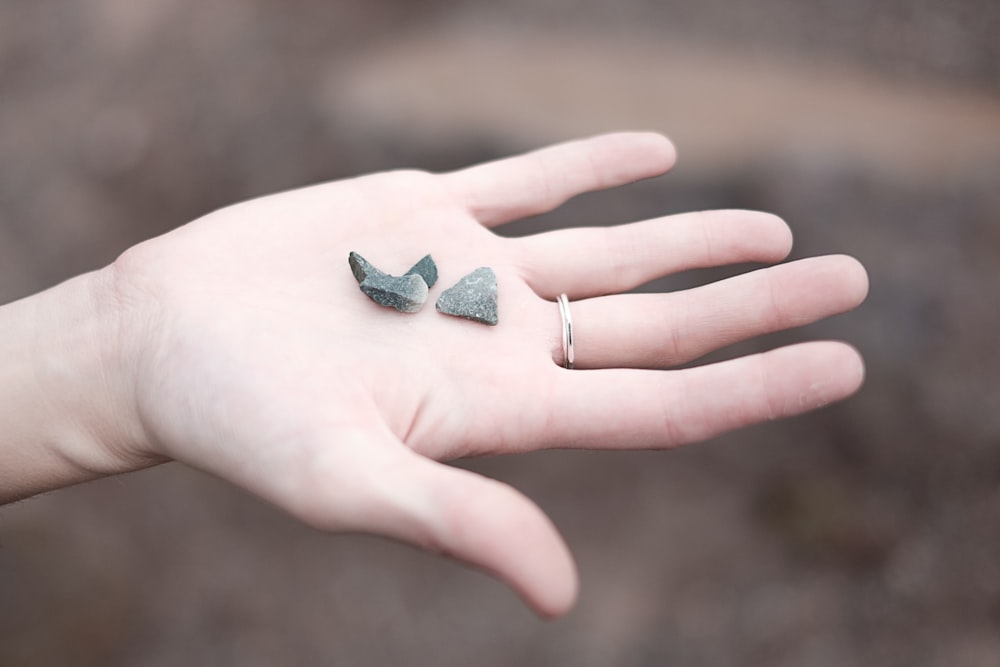 three gray pebbles on person's palm