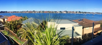A panoramic view of a waterfront residential area featuring a large body of water with numerous small boats floating in the distance. In the foreground, several modern houses with various colored roofs are visible, surrounded by lush greenery and palm trees. The background displays a long strip of distant urban landscape under a clear blue sky.