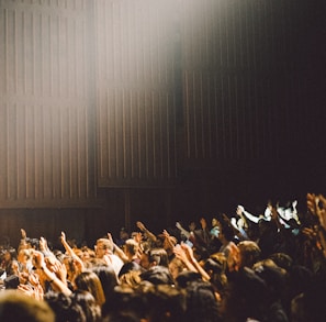 people raising their hands