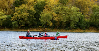 Kayakers paddling through calm waters surrounded by autumn foliage.