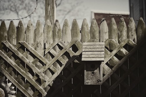 A rustic wooden fence with a lattice pattern features a weathered birdhouse attached to it. A barbed wire is visible atop the fence, and there's a faint outline of a tree shadow on one side.