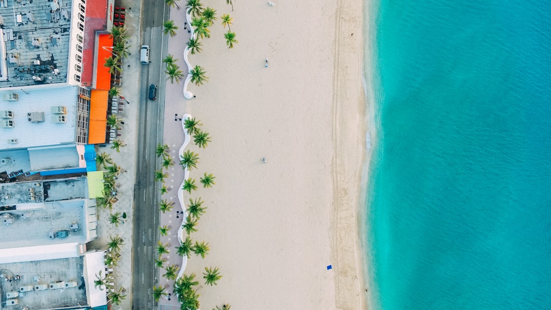aerial view photography of body of water, Palm-fringed beach