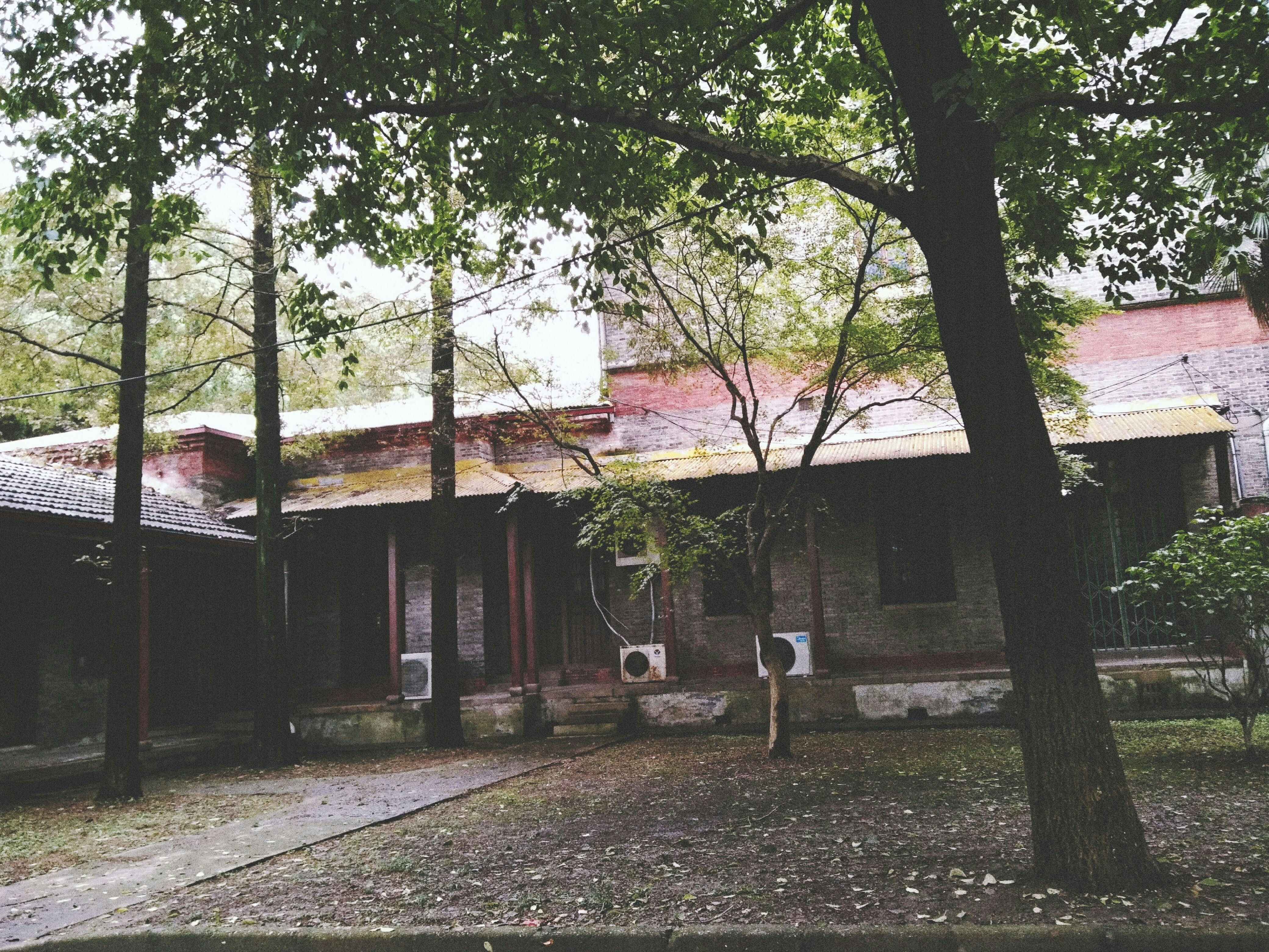 Free Unsplash photo from judeishappyness judeishappyness