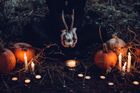 person holding cattle skull surrounded by squash and candles
