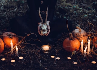 person holding cattle skull surrounded by squash and candles