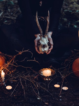 person holding cattle skull surrounded by squash and candles