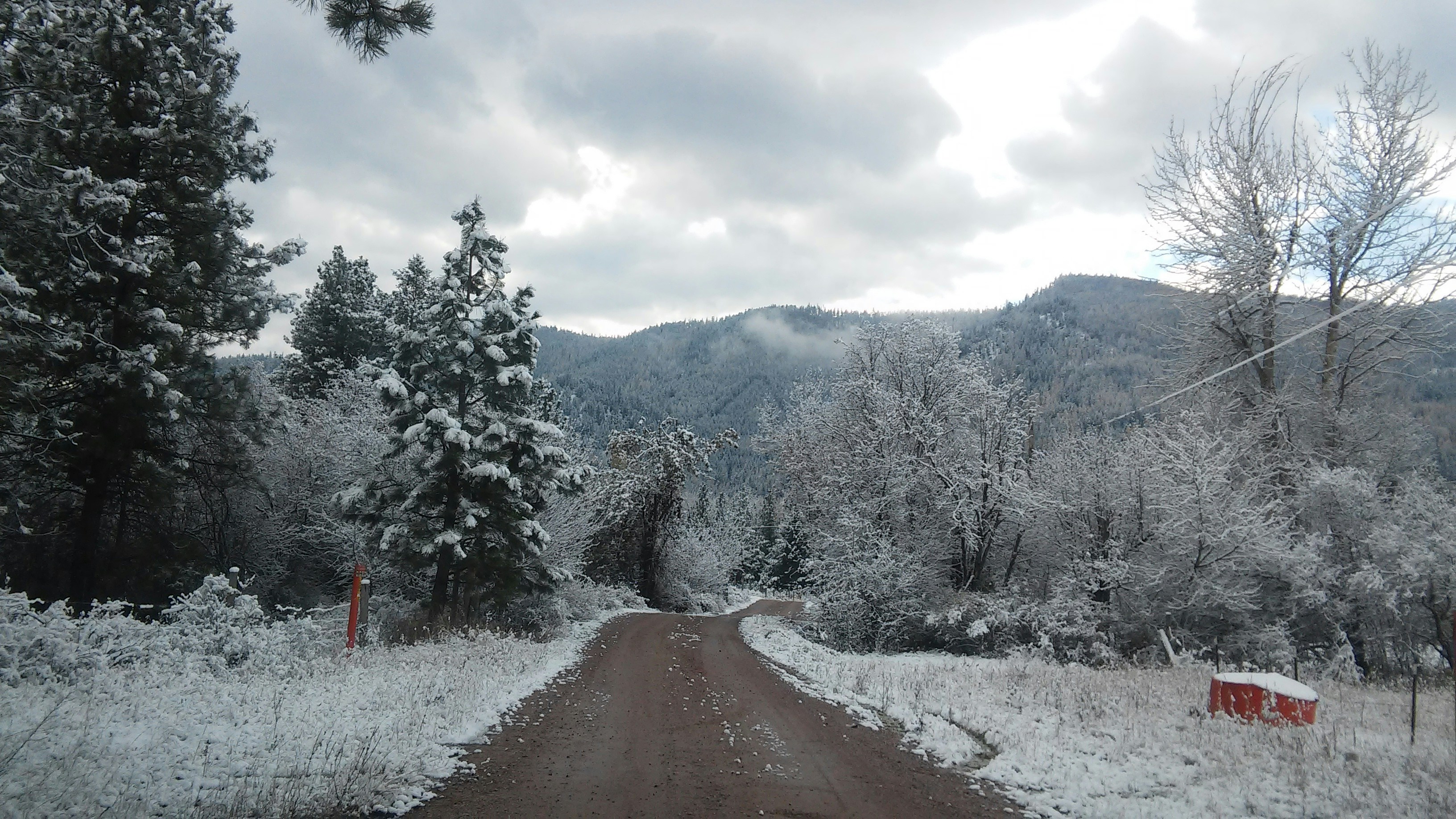 Free Unsplash photo from The Wind