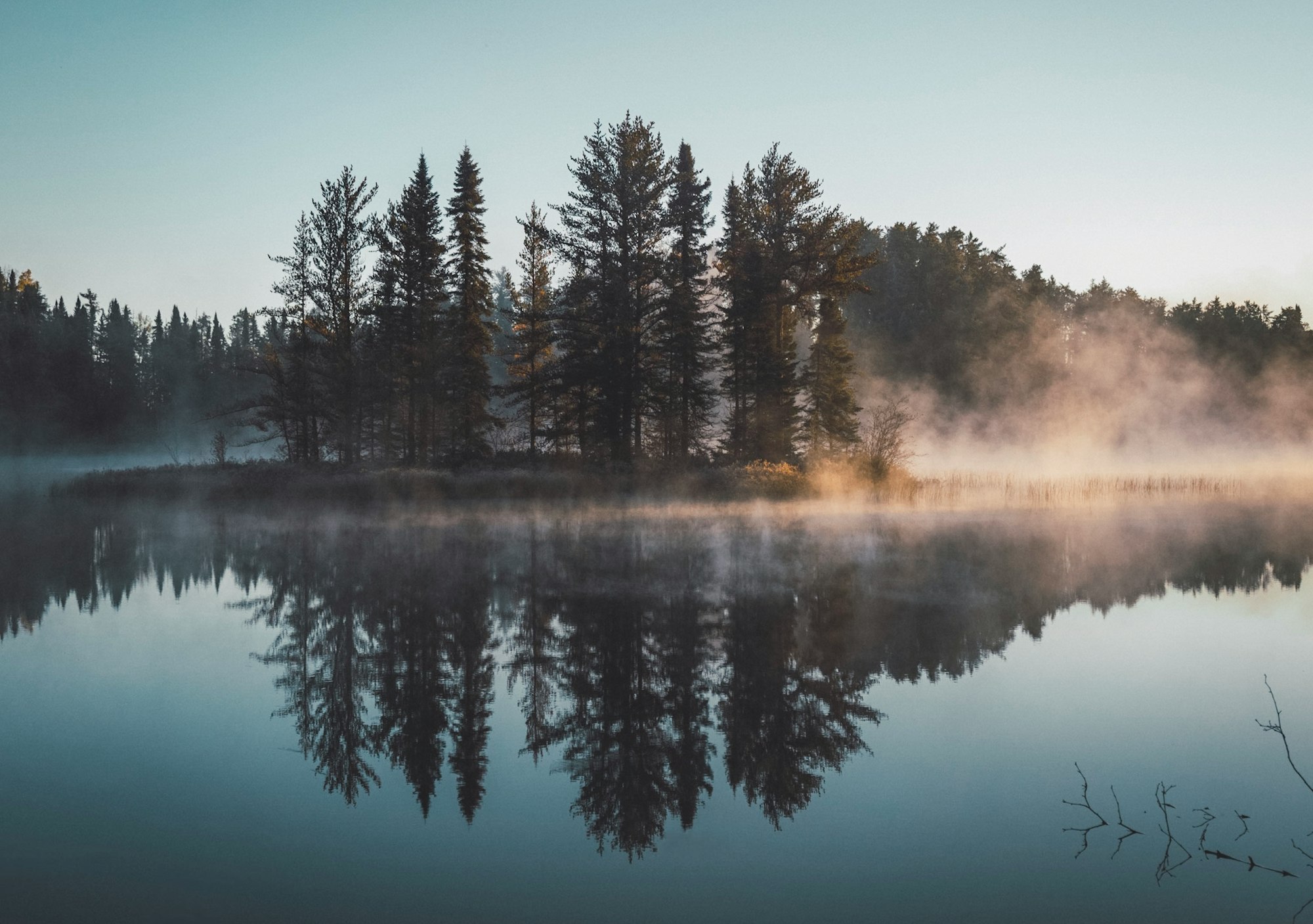 Wooded lake island