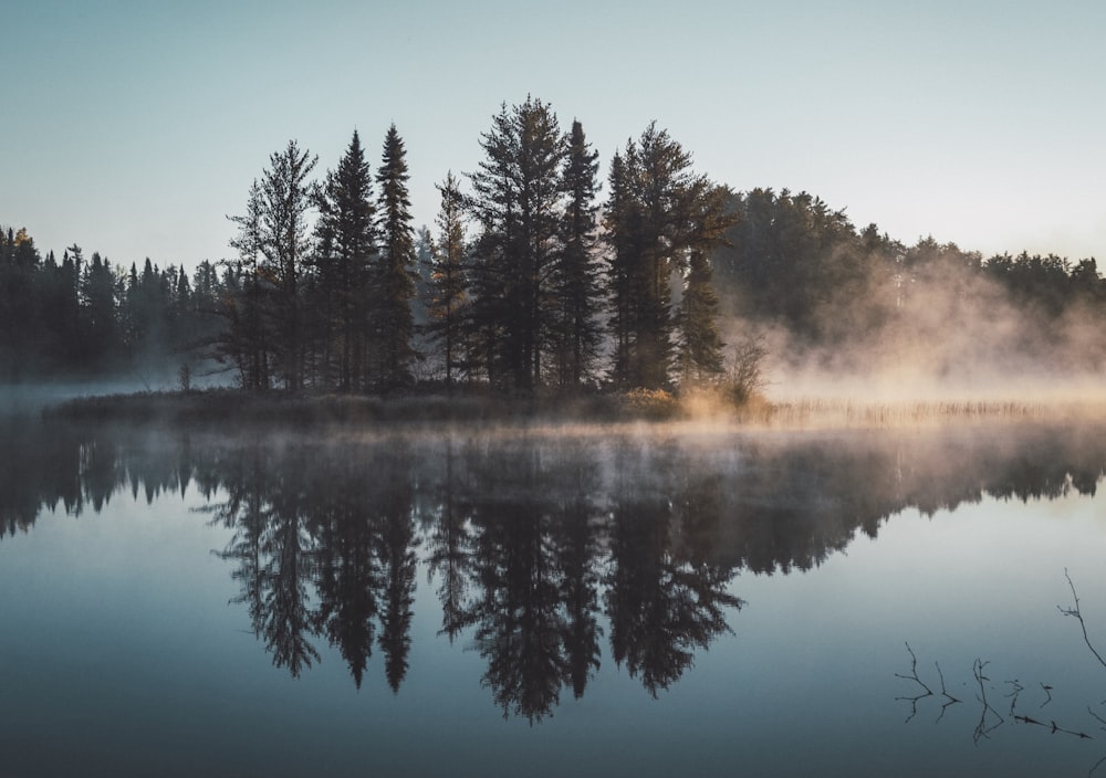 lac sous ciel bleu pendant la journée