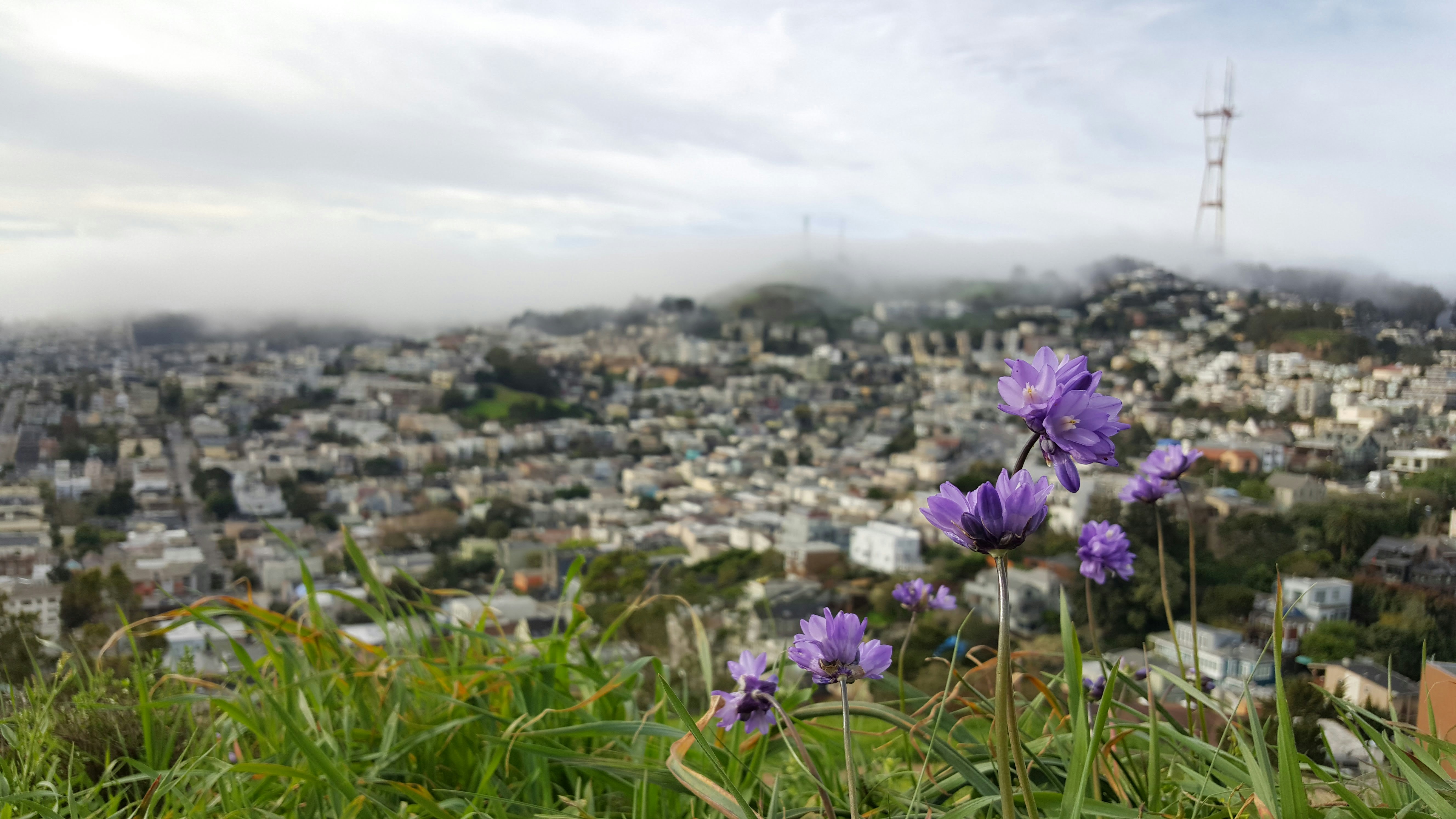 Free Unsplash photo from Garret DePass