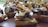 A close-up view of a gourmet appetizer featuring toasted bread topped with slices of roasted meat, caramelized onions, thin cheese slices, and a dollop of creamy sauce. The dish is artistically arranged and appears savory and delicious.