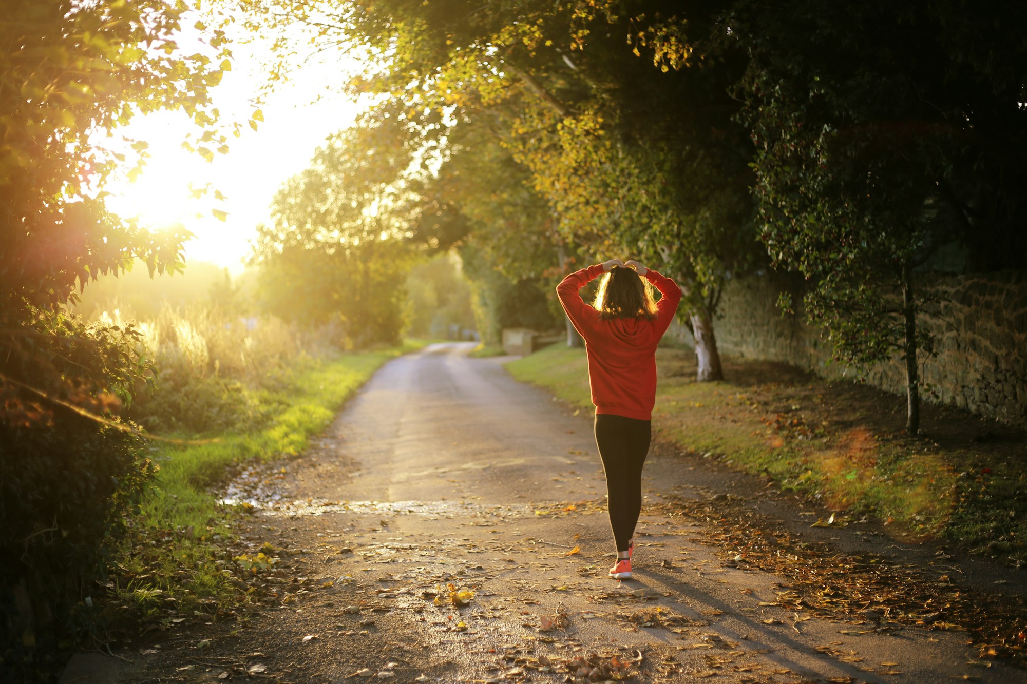 Morning jog in the countryside