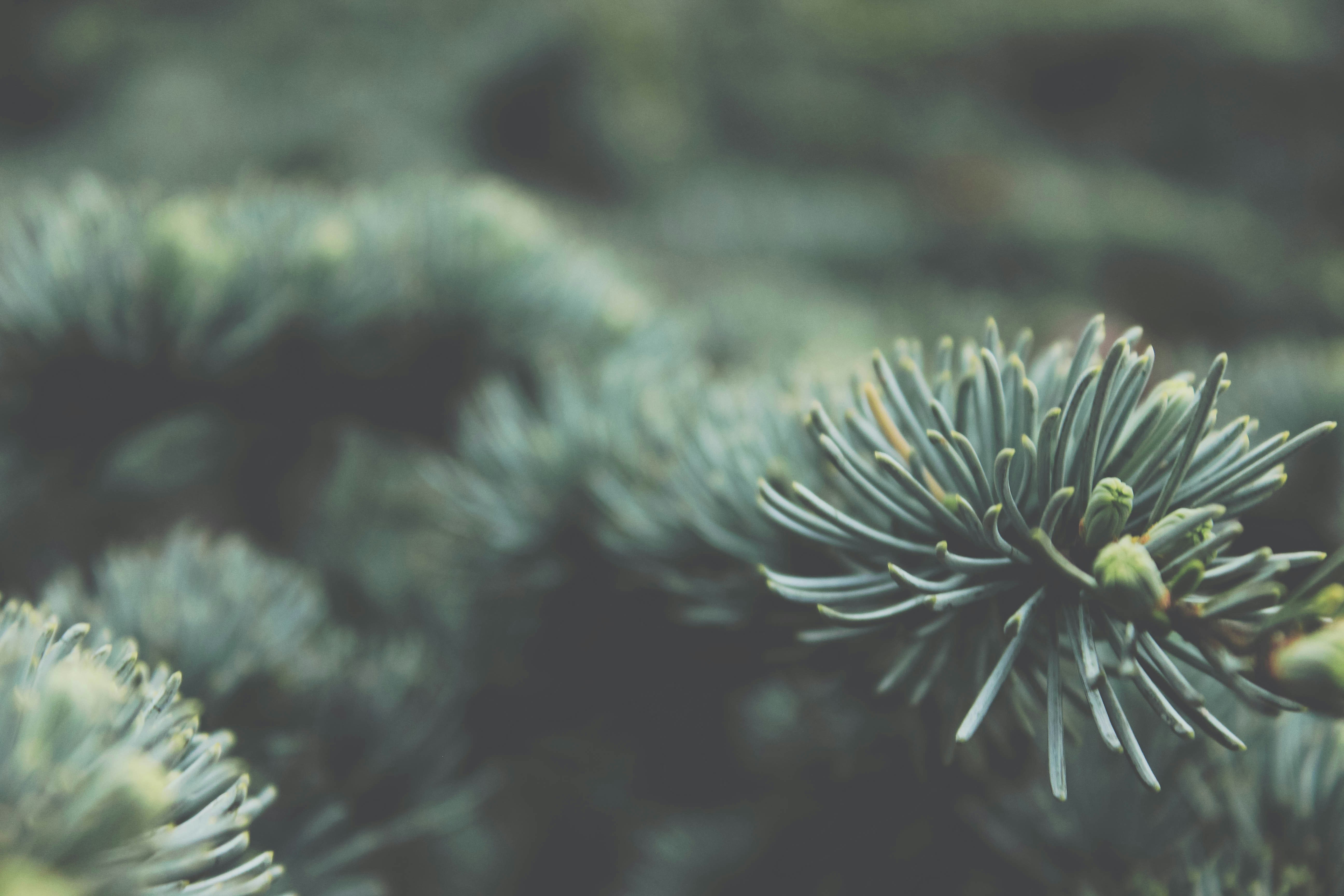 Free Unsplash photo from Marco Agas