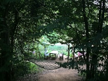A serene forest setting with a hammock hanging between trees, surrounded by dense foliage. In the background, a picnic table with benches is visible, situated on a dirt path that blends with the surroundings. The scene is calm and inviting, with filtered sunlight casting patterns on the ground.