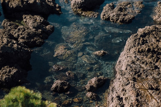 rocks in body of water at daytime in Waiheke Island New Zealand