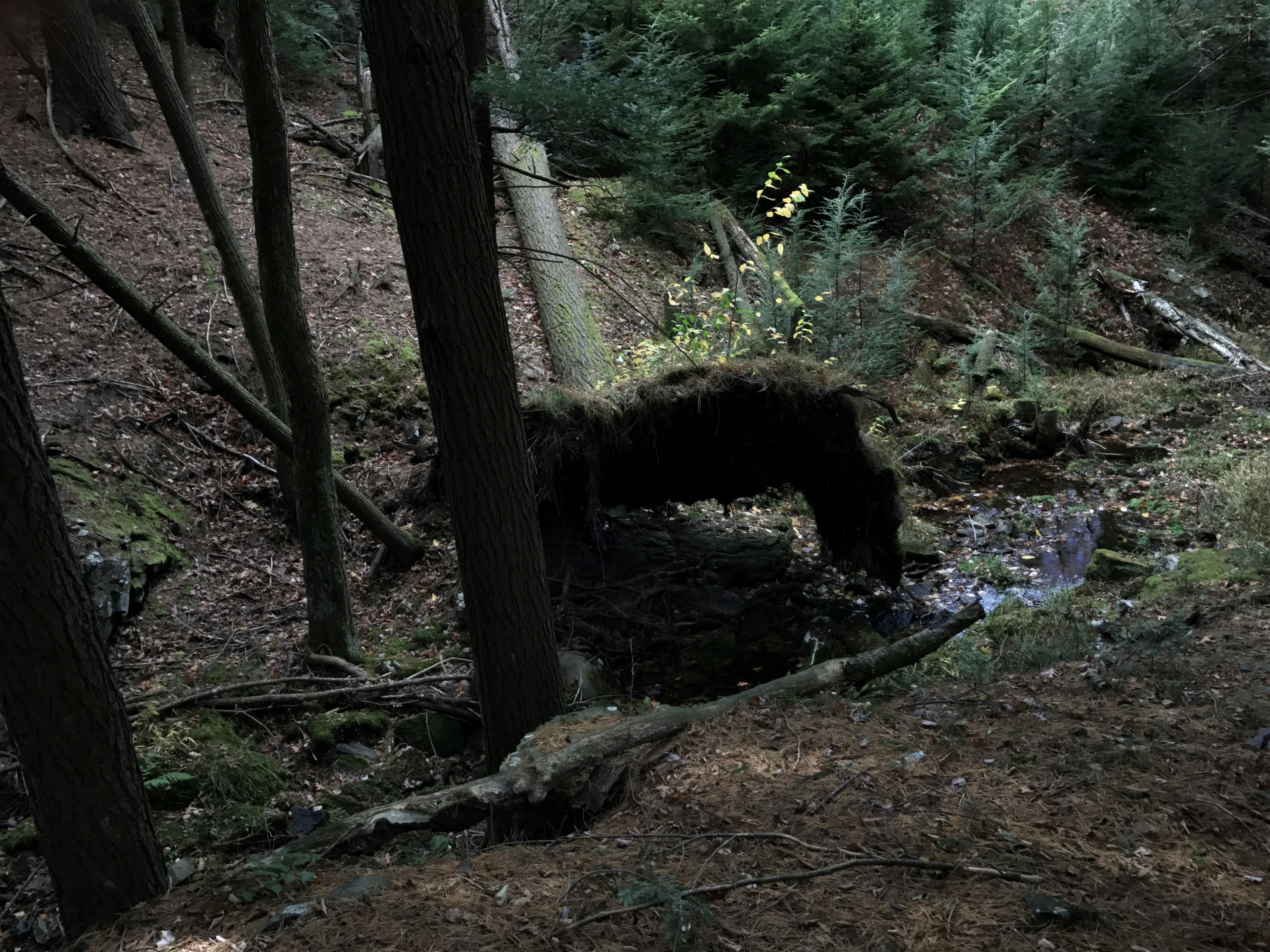 Free Unsplash photo from Javier Ramos