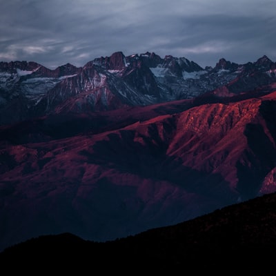 tp.web.random_picture