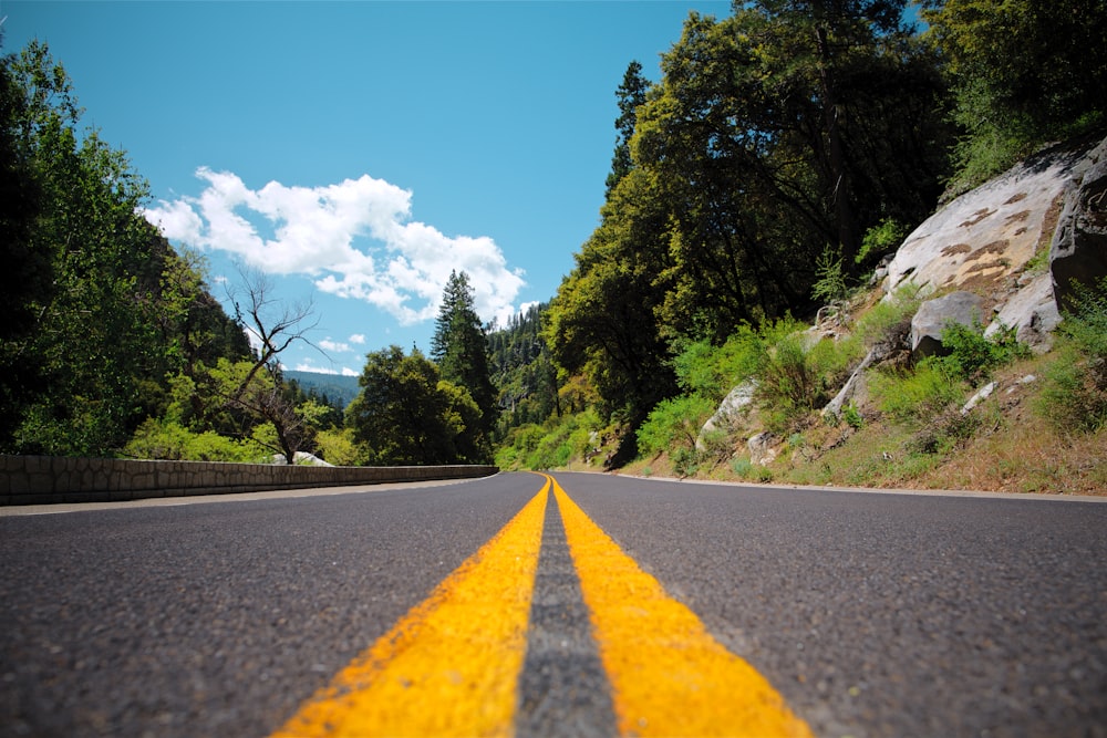 gray concrete pavement near trees during daytime