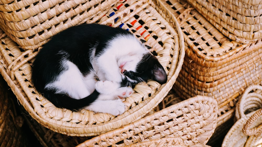 gato blanco y negro durmiendo en una canasta de mimbre marrón