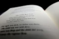 A close-up view of an open book with printed text. The focus is on the poem titled 'The Little Boy Lost', with the rest of the page appearing slightly blurred. The lighting creates a soft and thoughtful ambiance.