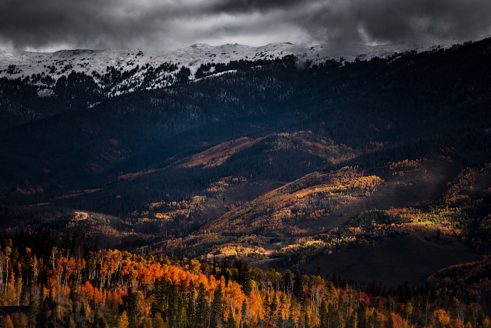 mountain range surrounded by brown and green plants under nimbus cloud