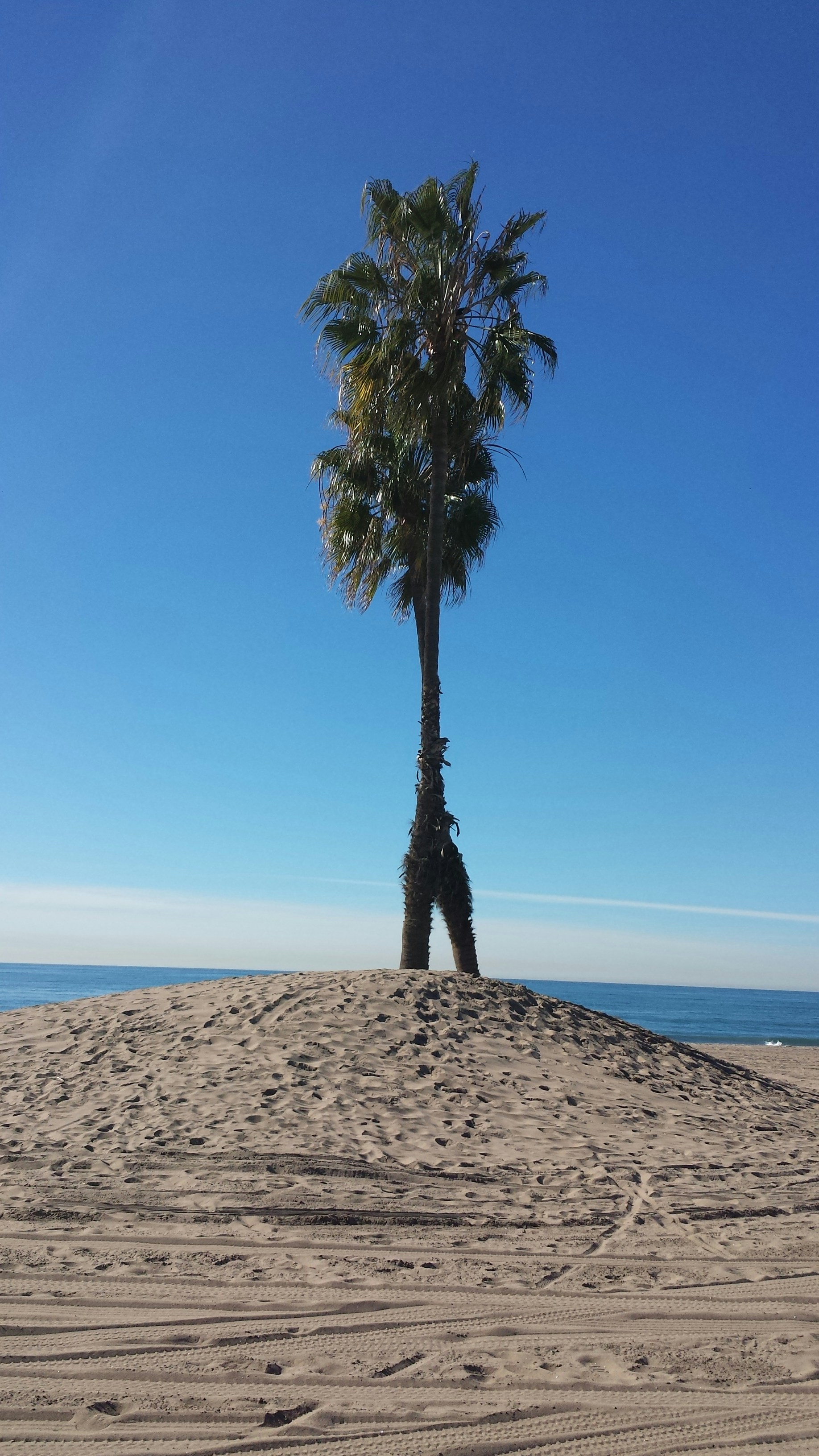 Free Unsplash photo from Amanda Caylee Faith Lo