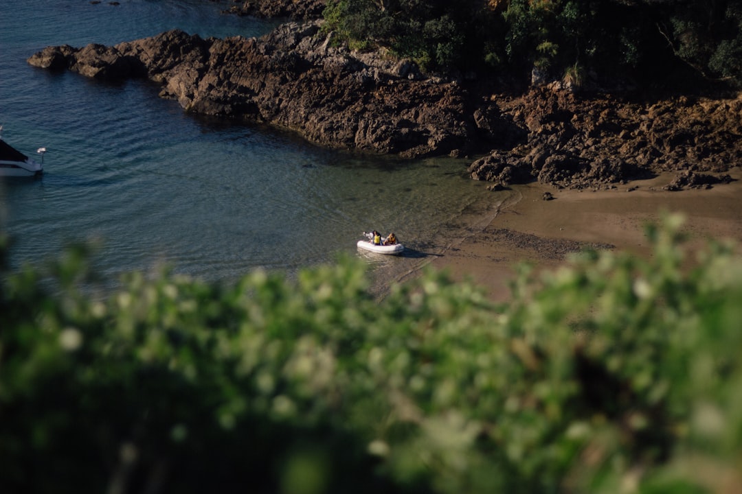 aerial view of beach