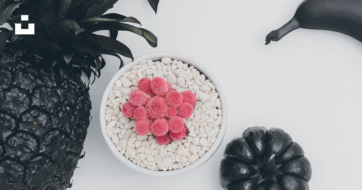 Piña negra foto – Imagen de Fotografía de Scott Webb gratuita en Unsplash