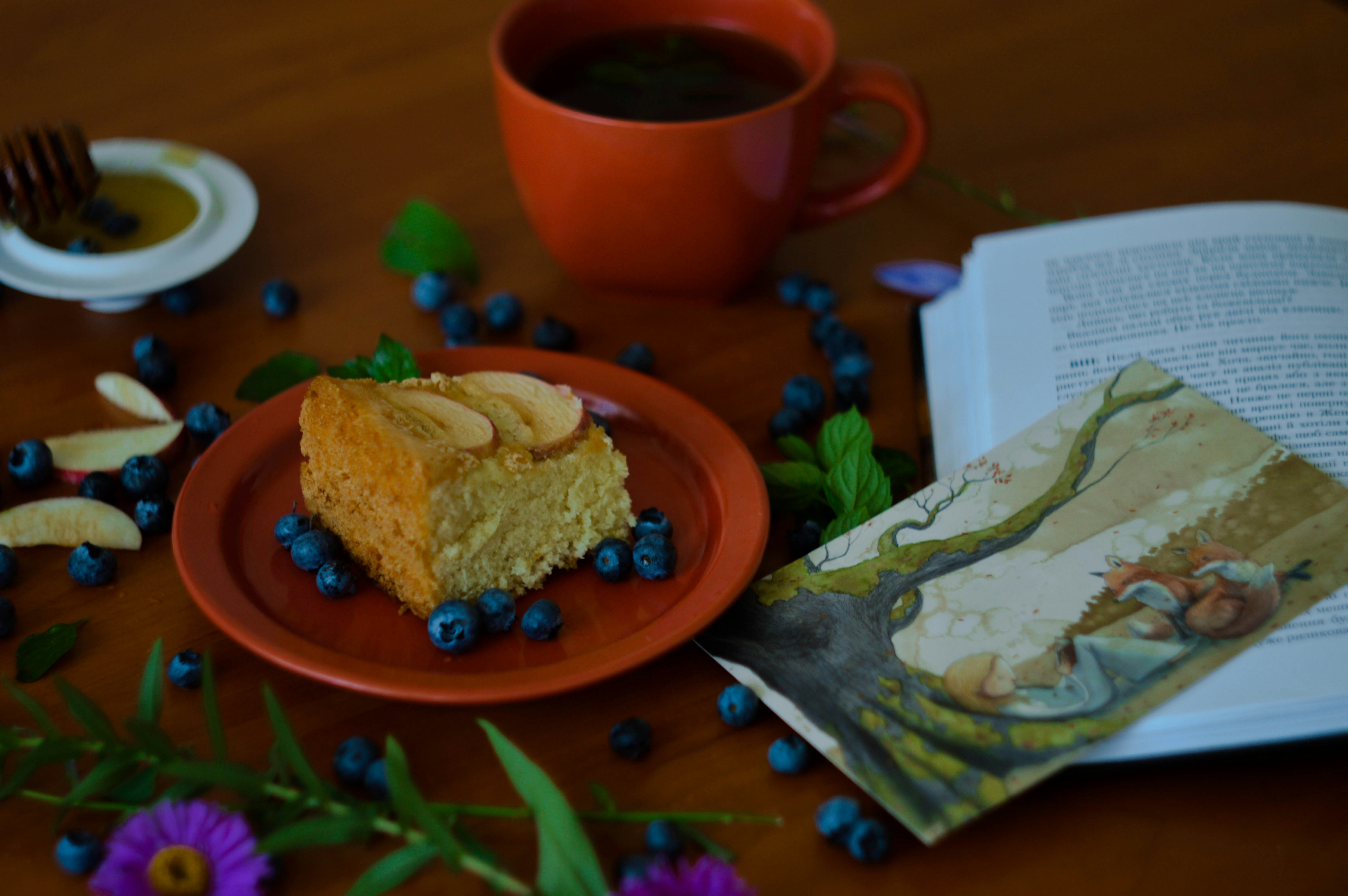 Free Unsplash photo from Mariana Vusiatytska