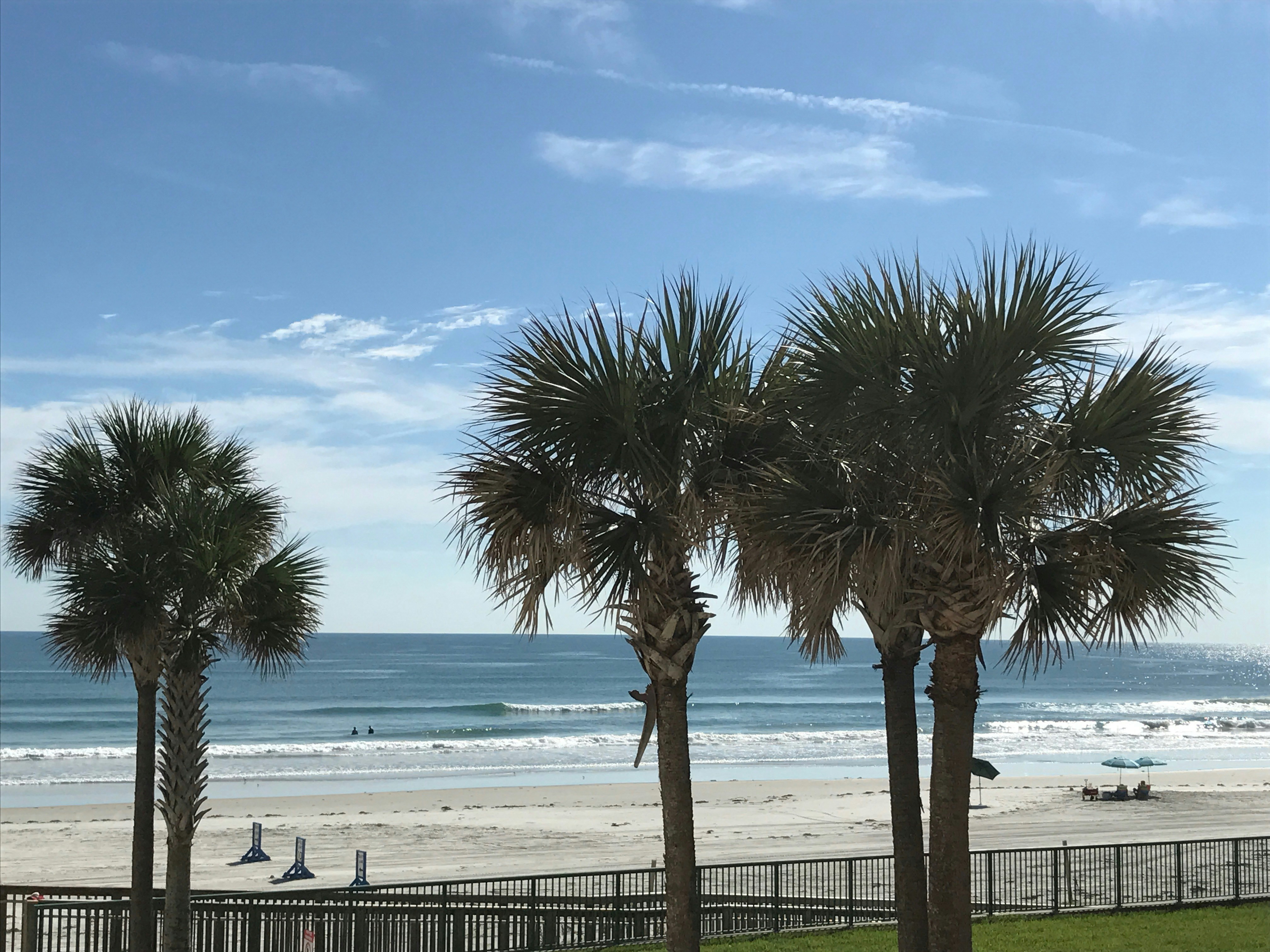 Free Unsplash photo from Jonathan Bloom