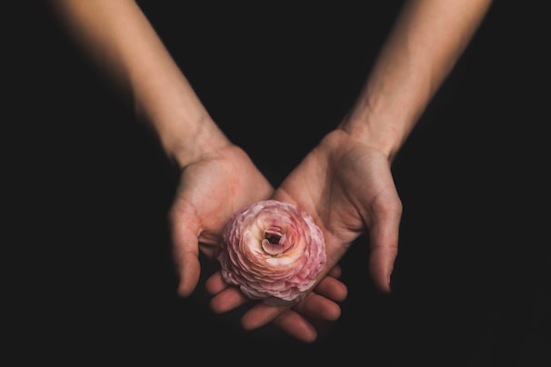 eine Person hält eine pinke Blume in den Händen