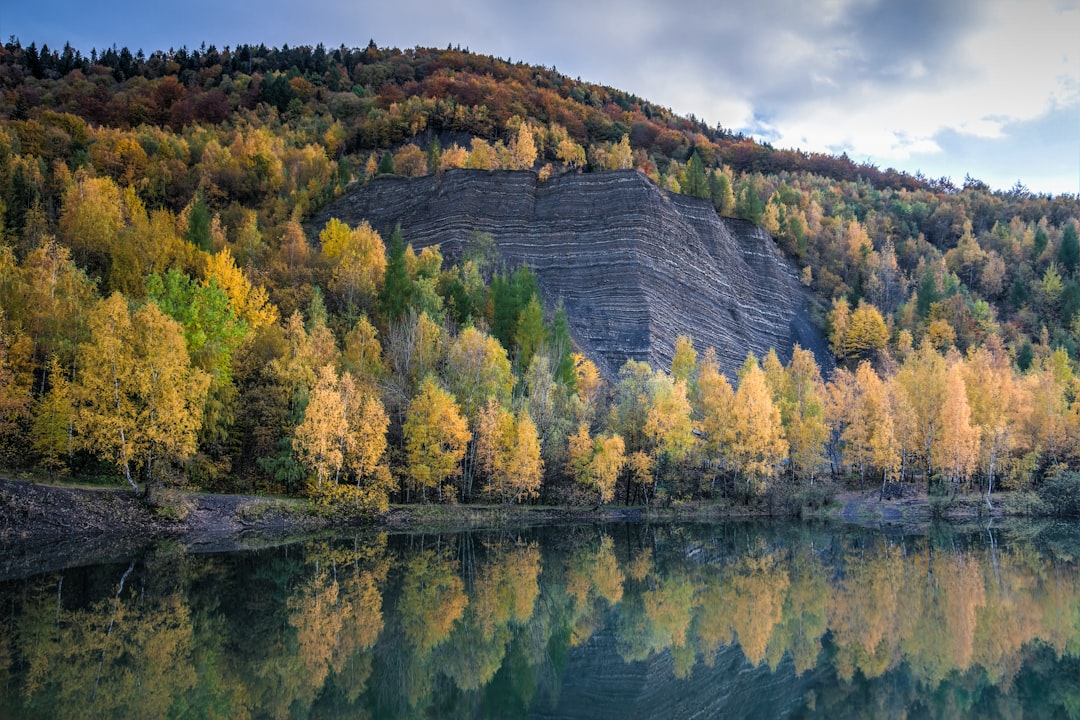 travelers stories about Temperate broadleaf and mixed forest in Kozy, Poland